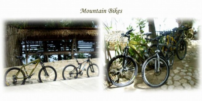 mountain bikes
